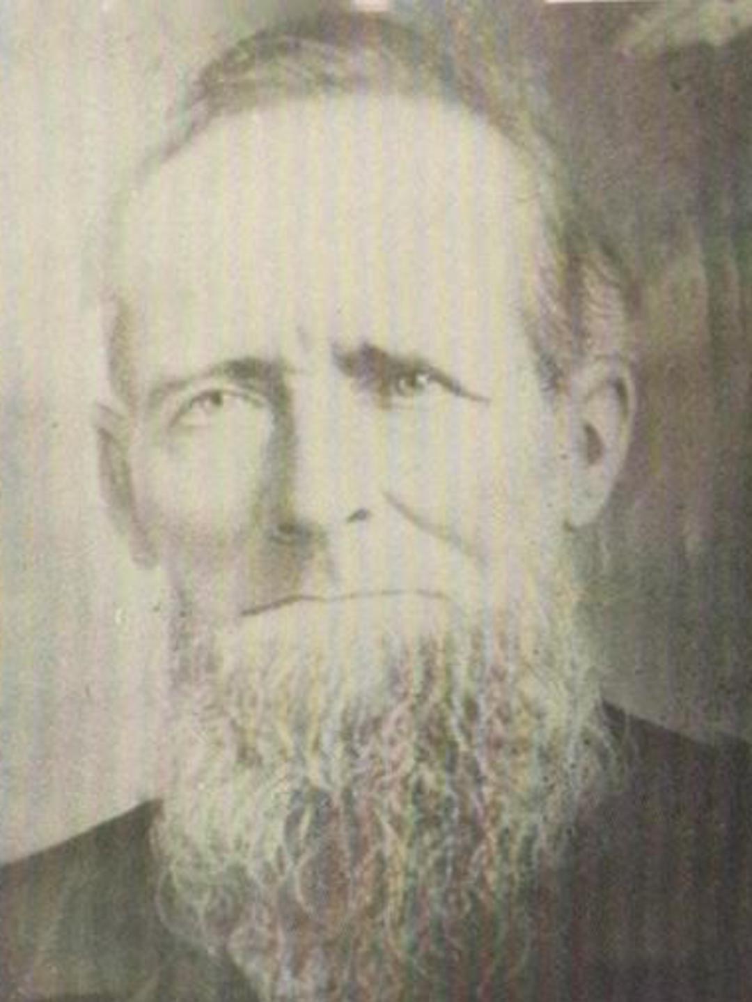 William Foxley (1831 - 1907) Profile